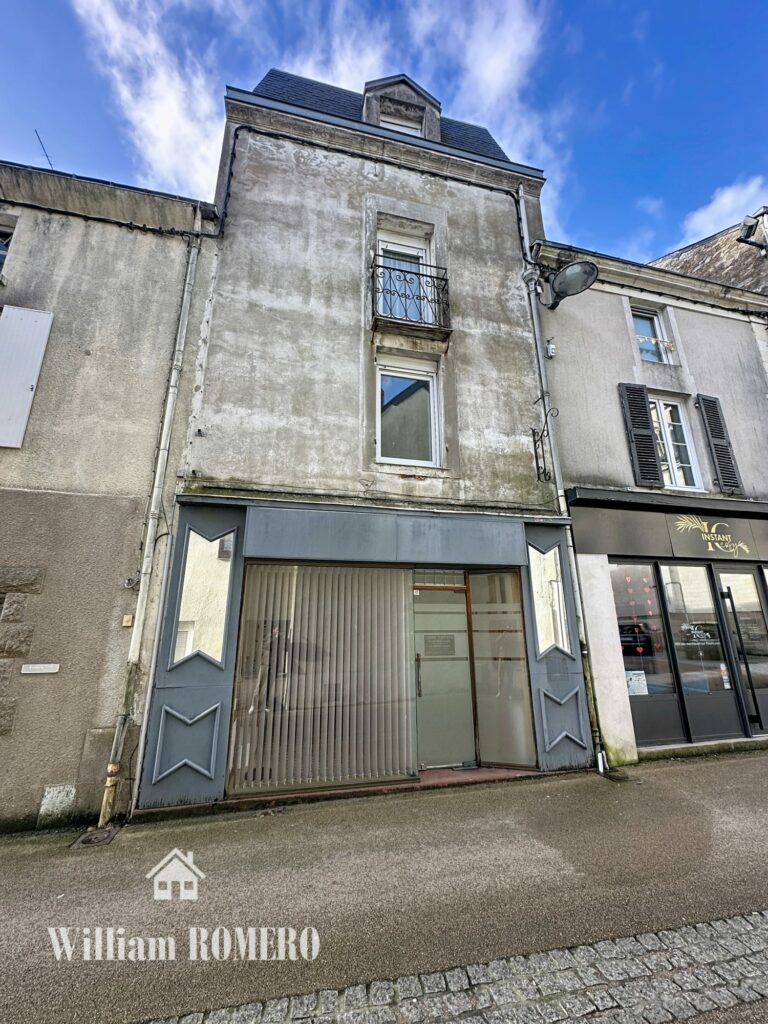 Immeuble à vendre Saint-Étienne-de-Montluc