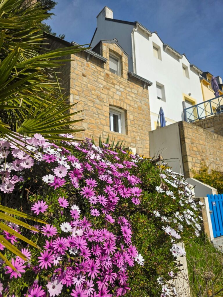 Appartement à vendre Sauzon